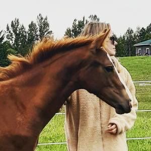 Meet your Posher, Heidi